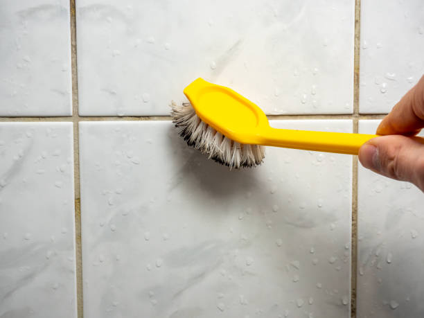 Best Home Mold Removal  in Grandyle Village, NY