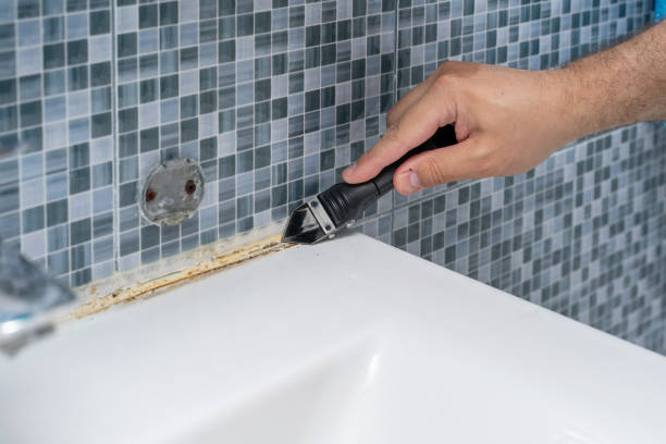 Best Residential Mold Removal  in Grandyle Village, NY